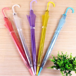 Fashion PVC Transparent Umbrella