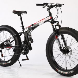 Outdoor Folding Fat Tire Snow Bike