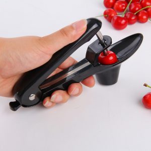 Stainless Steel Cherry and Olive Pitter