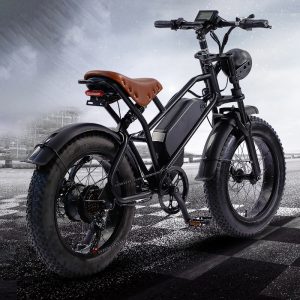 C4 Retro Fat Tire Electric Bicycle