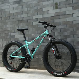 Fat Tire Mountain Bike