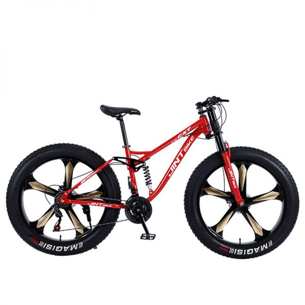 SJ500 All-Terrain Fat Tire Bicycle