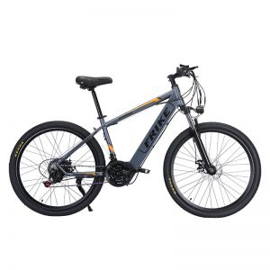 Electric Mountain Bik