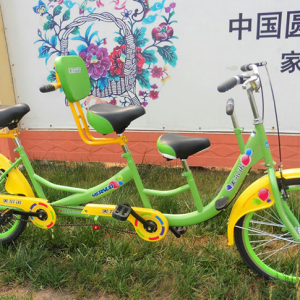 Multi-Person Scenic Tour Bicycle